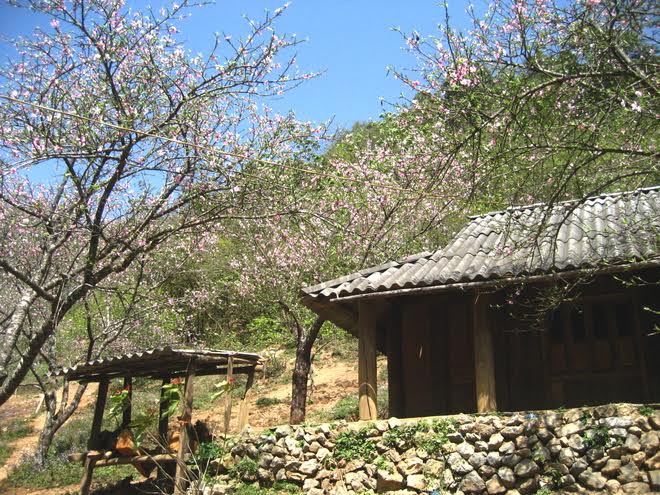 Nhớ một mái hiên