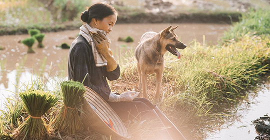 nơi ta trở về