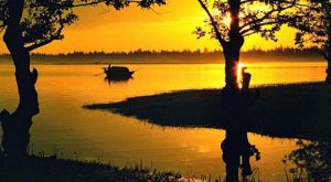 nhớ về xứ Nghệ