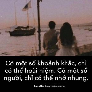 Ảnh internet