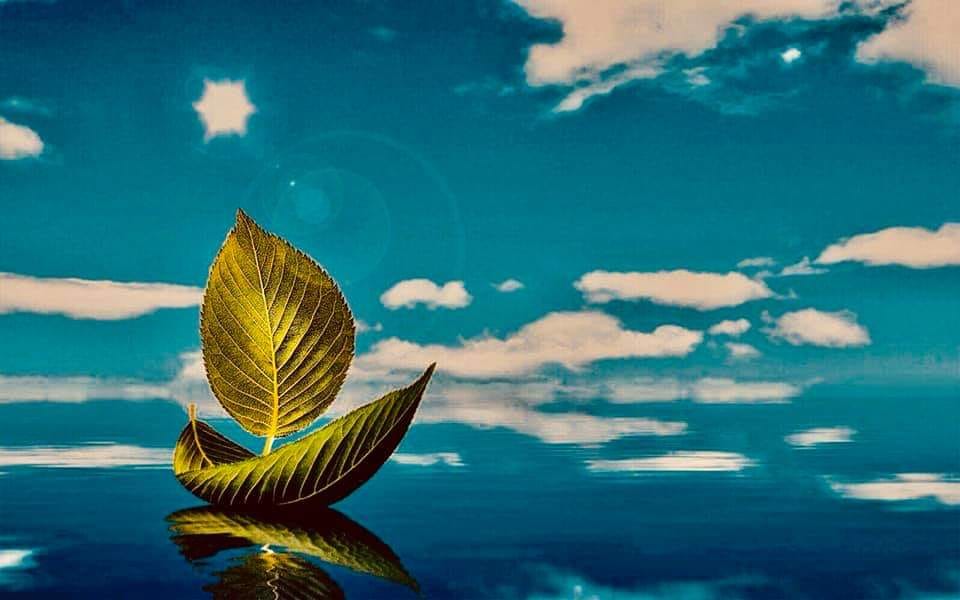 Nửa sau tình cuối. Ảnh sưu tầm