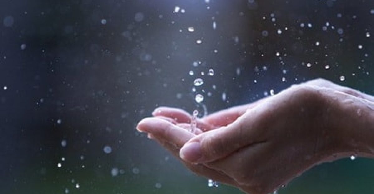 Tiếng mưa, tiếng lòng – Thơ Bùi Hiệp