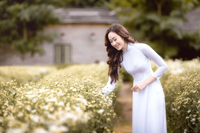 Vương vấn heo may. Ảnh mạng