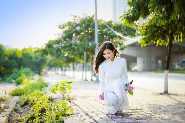 Lang thang phố. Ảnh mạng