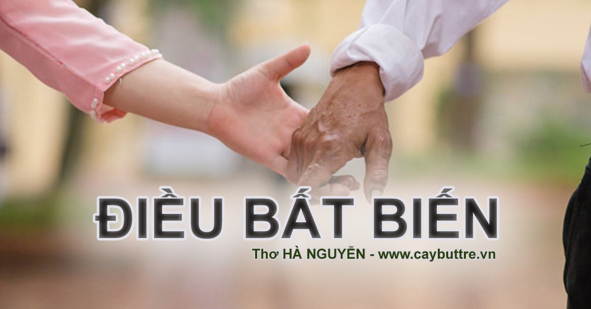 Bài thơ Điều Bất Biến - tác giả Hà Nguyễn, Cộng đồng Cây Bút Trẻ Việt Nam