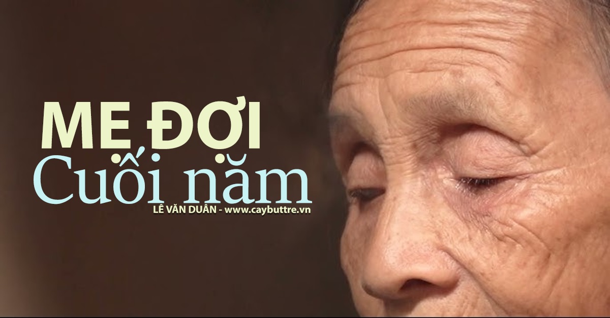 Bài thơ Mẹ đợi cuối năm, tác giả Lê Văn Duân, Cộng đồng Cây Bút Trẻ Việt Nam