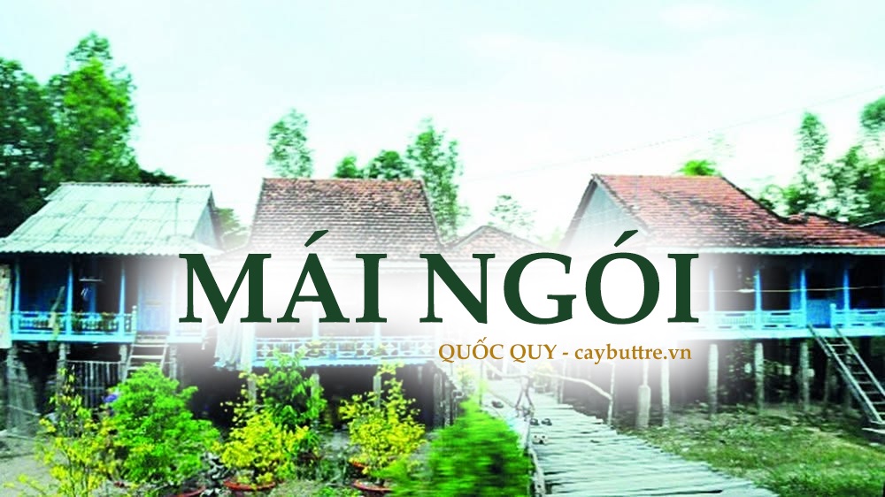 Trước kia thì xung quanh đây đa phần là nhà sàn cao, mái ngói dạng đặc trưng của miền sông nước Tây Nam Bộ. Ông nội tôi kể lại đó là cách để tránh những lần lũ lớn. Dưới sàn nhà tôi vẫn còn cây cột chống nhà ghi dấu mốc các đợt mưa lũ miền Tây thời trước